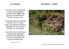 Die-Nachtigall-Storm.pdf